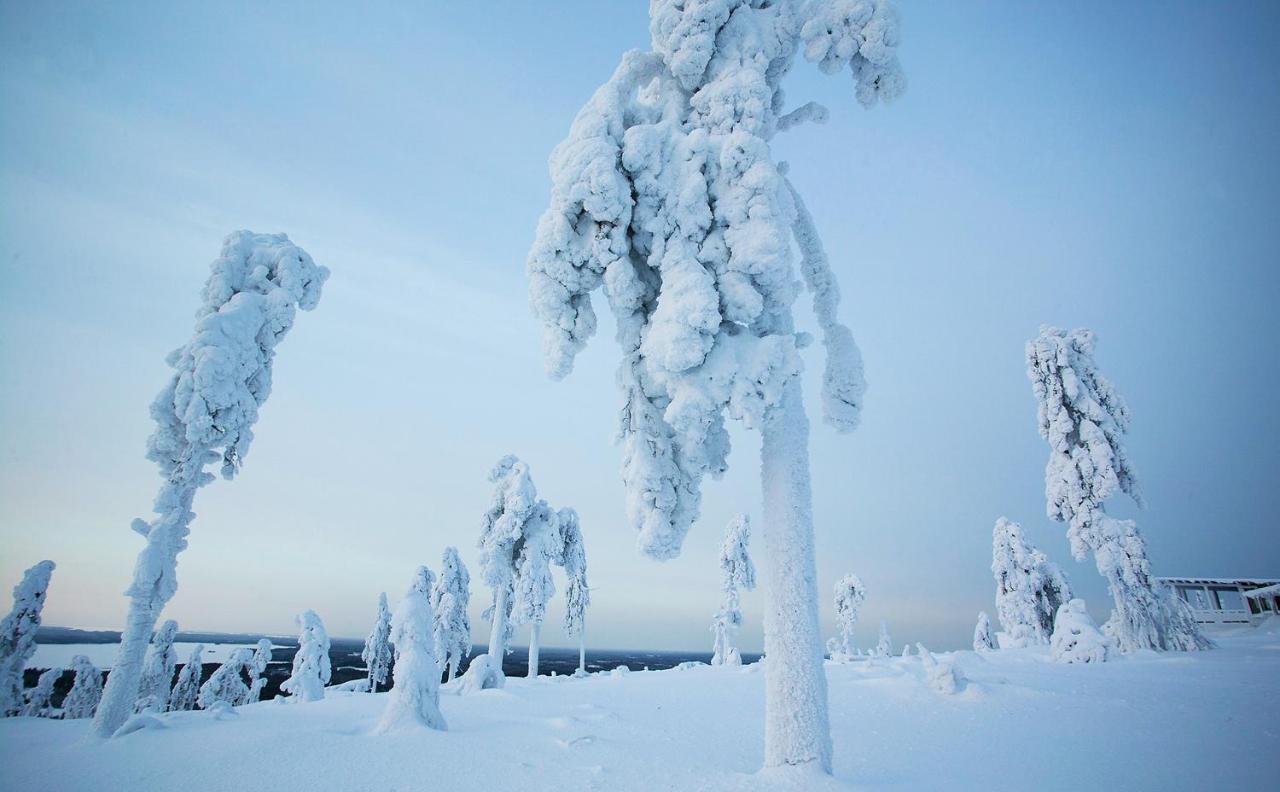 Arctic Giant Aparthotel Paltamo Bagian luar foto